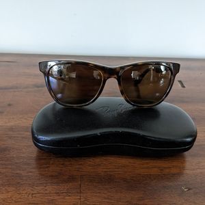 Ray-Ban polarized brown Wayfarer Sunglasses
